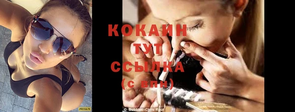 сатива Липки