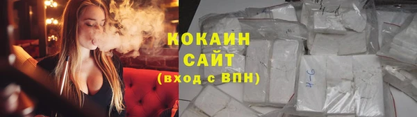 сатива Липки
